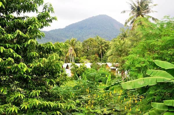 Jungle Garden Bungalows Hinkong Exterior foto